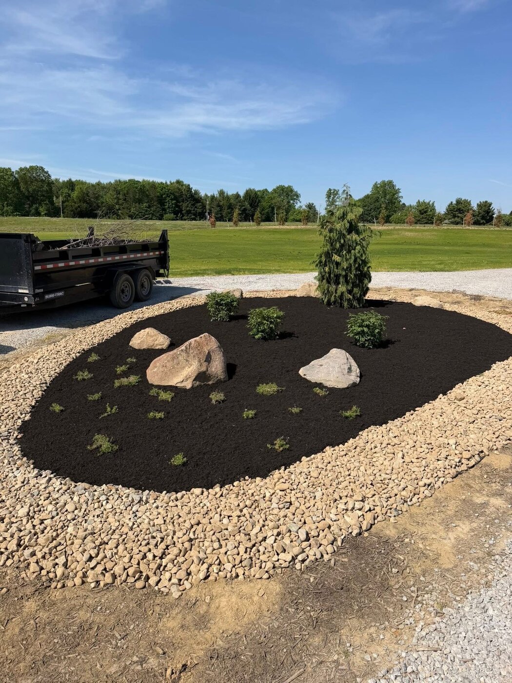 Tree Planting project 2