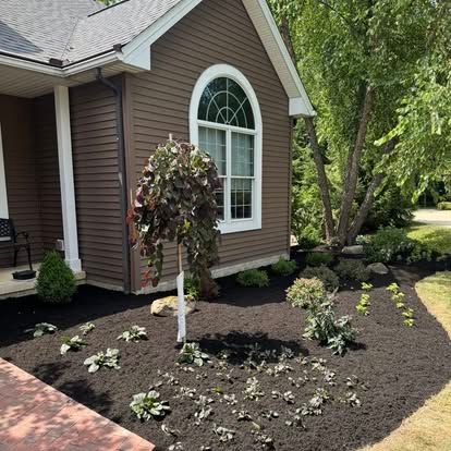 Foundation Shrub Planting