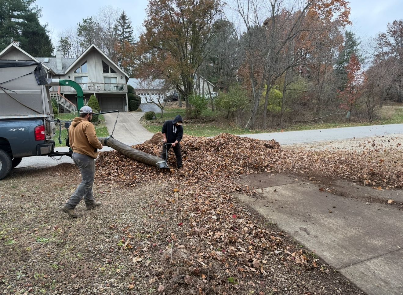 Leaf Removal project 2