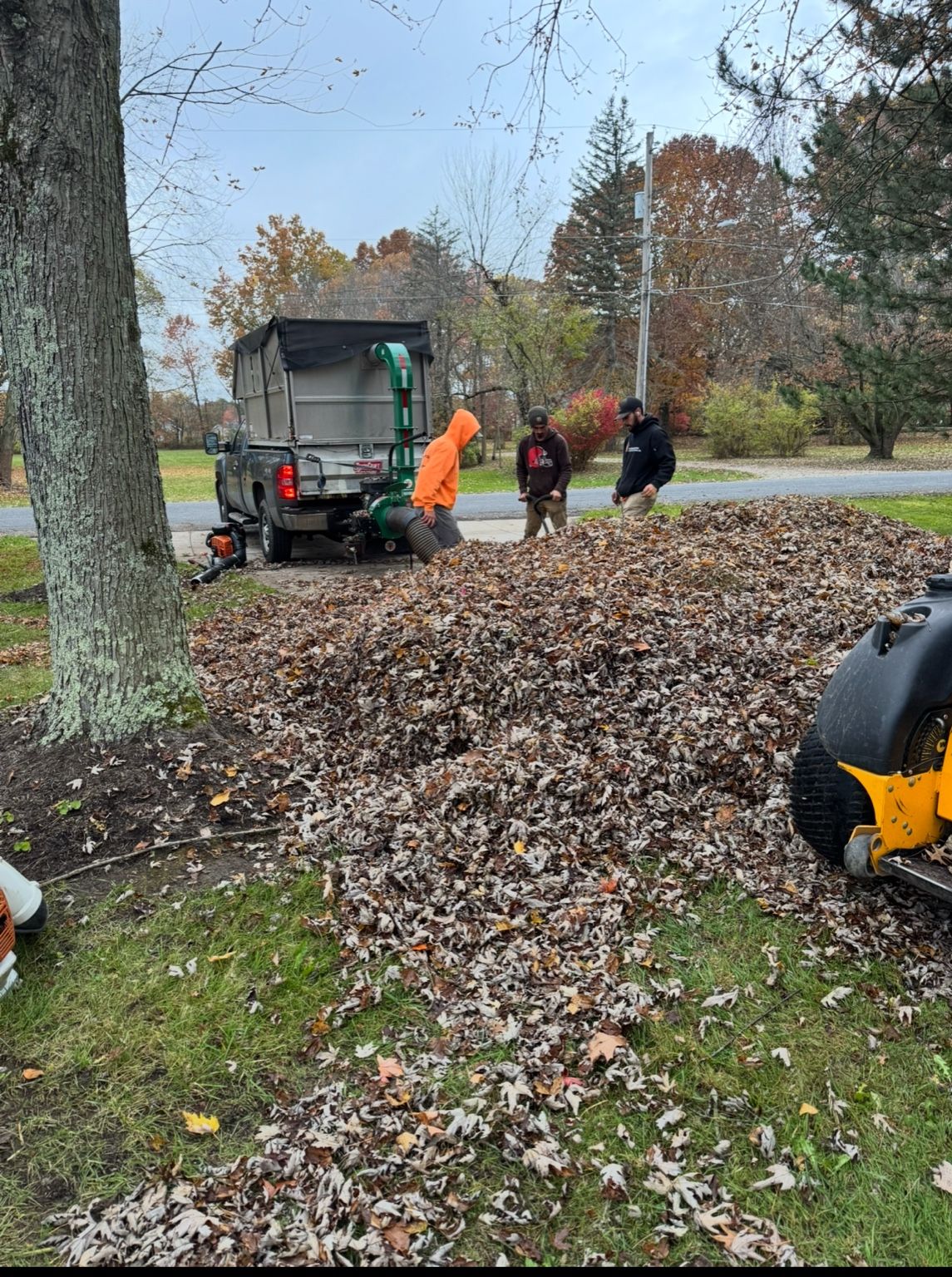 Professional Fall Leaf Clean-Up for Homes & Businesses