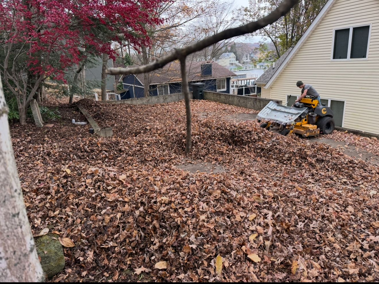 Leaf Removal Services