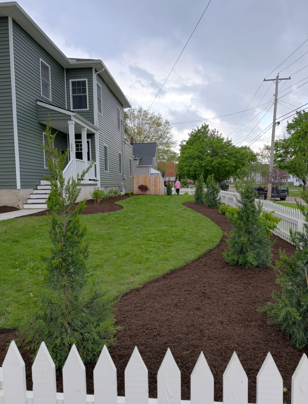 Curved Mulch Beds & Arborvitae