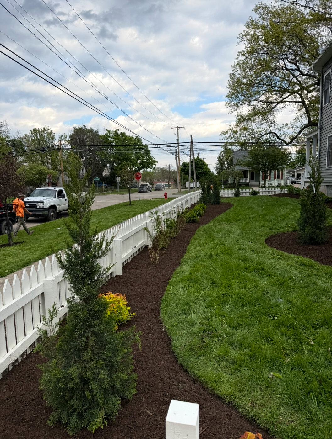Tree Planting project 4
