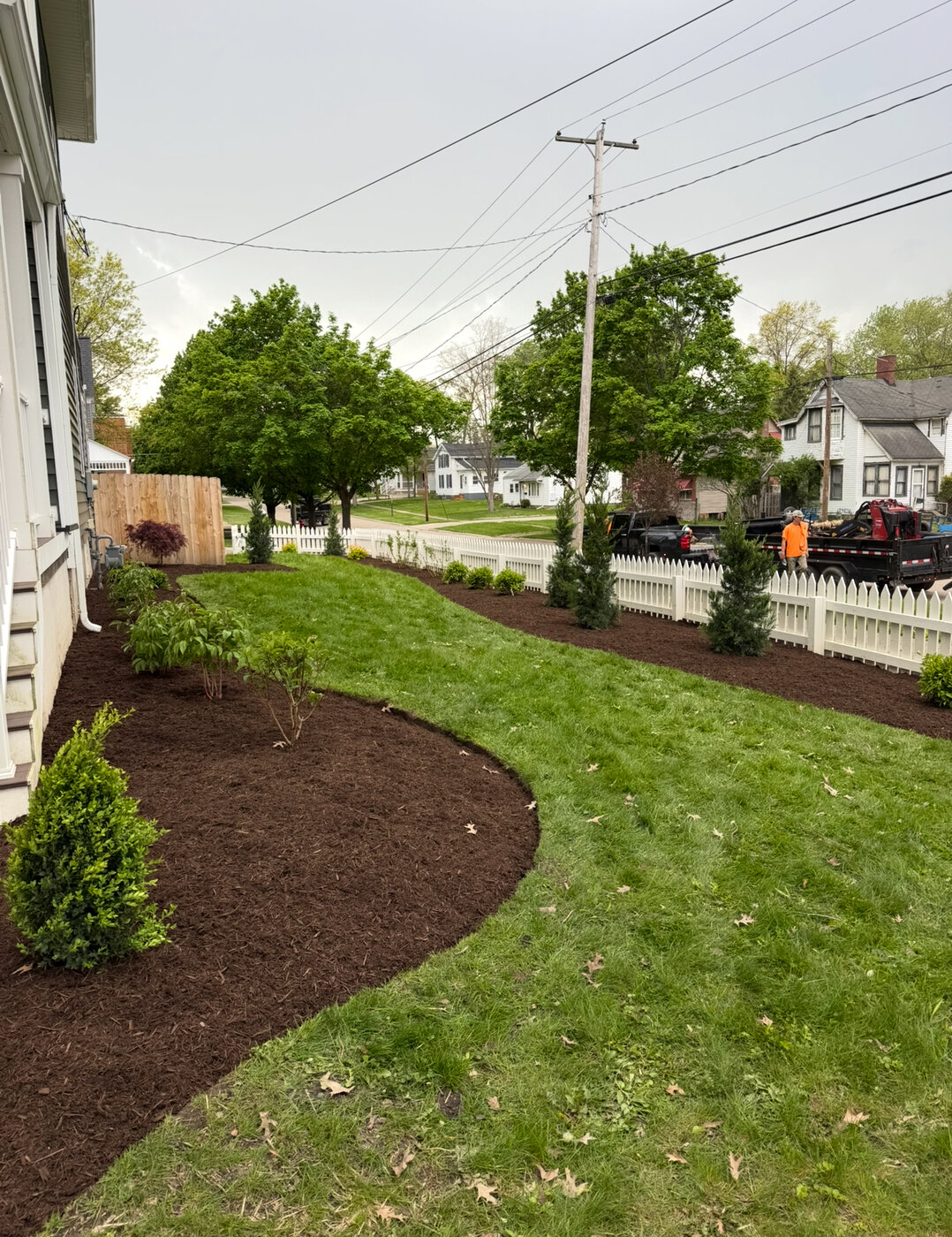 Tree Planting Designed to Protect & Improve Your Property