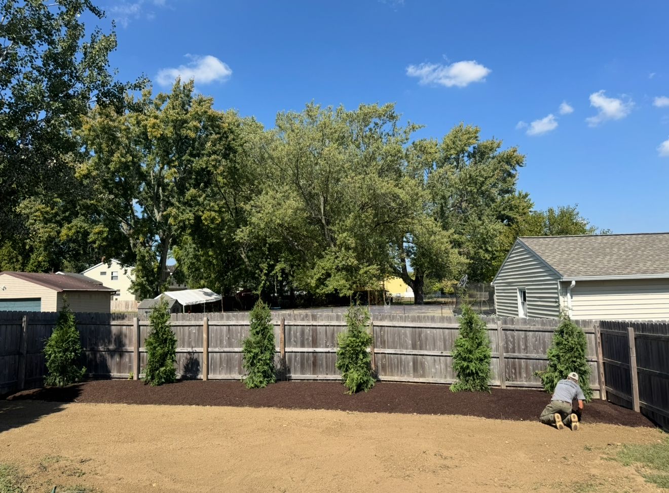Backyard Privacy Screen