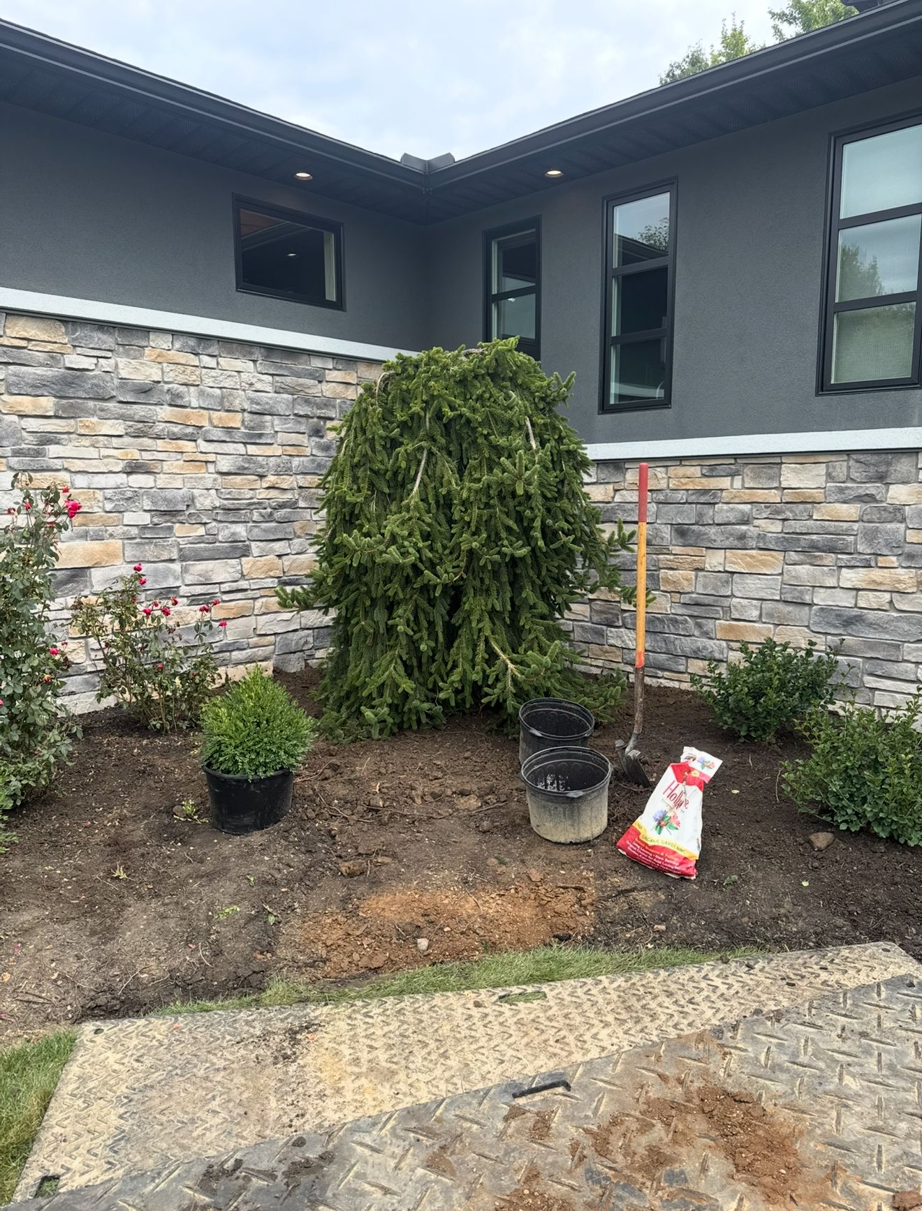 Tree Planting
